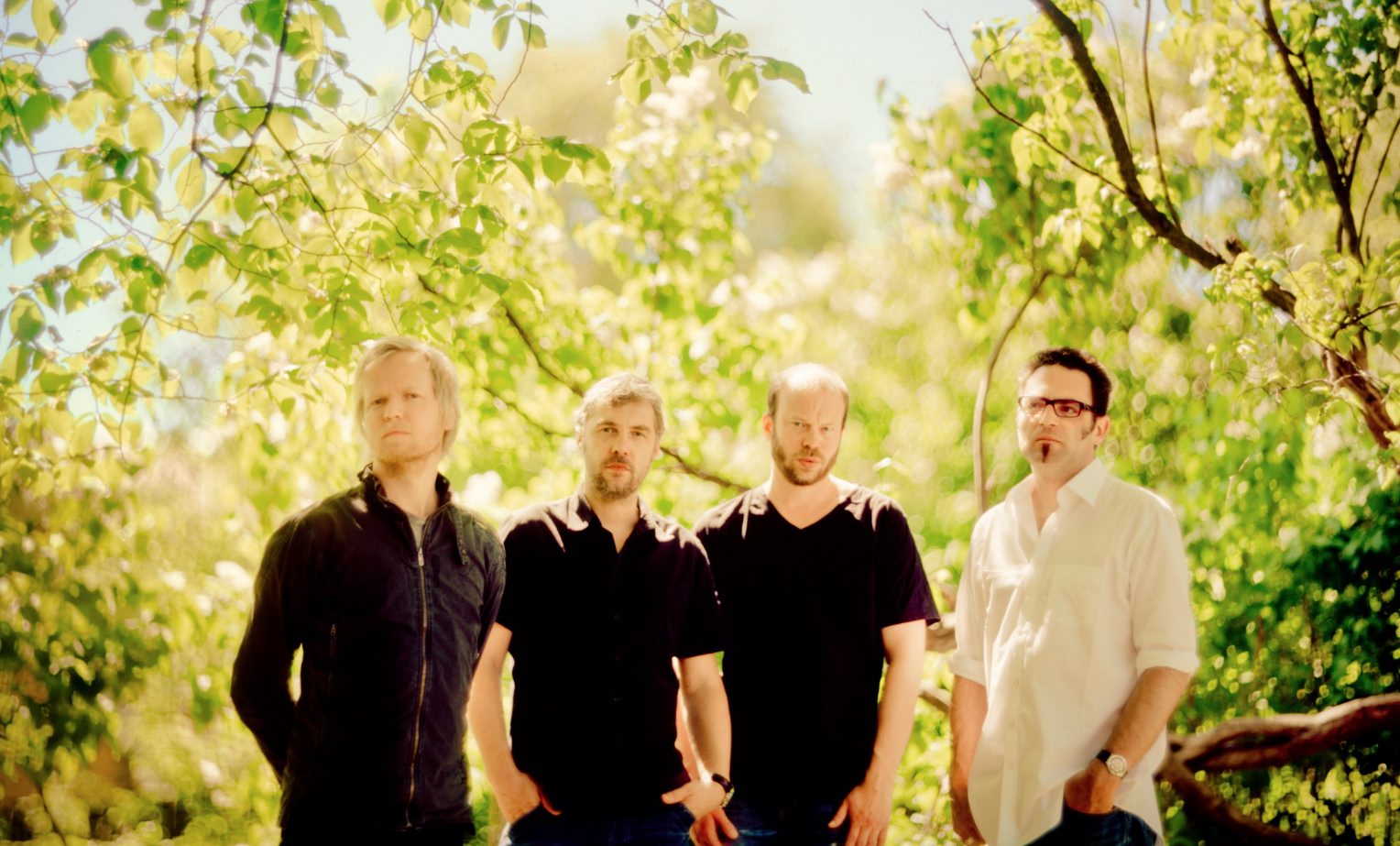 AVGARDE: DANS LES ARBRES