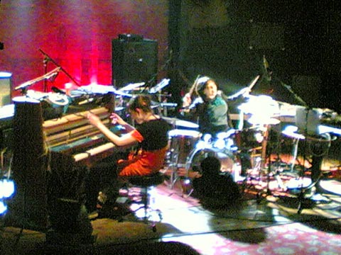 JAZZOUT: DONKEY MONKEY