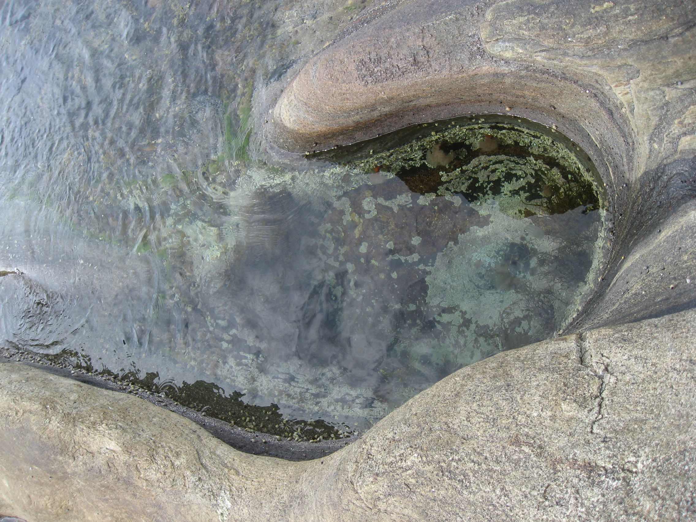 VANNSPEIL - ELINE SUNDAL