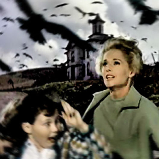 FILM: FUGLENE - HITCHCOCK 1963