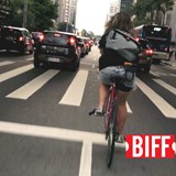 BIFF: Bikes vs cars