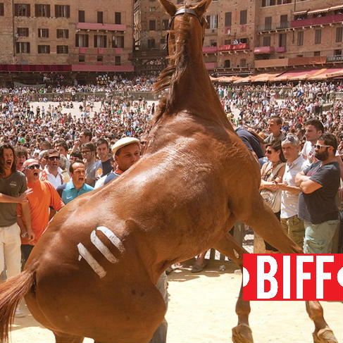 BIFF: Palio