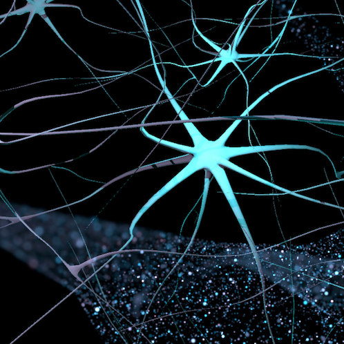 BIFF Expanded: Unrest