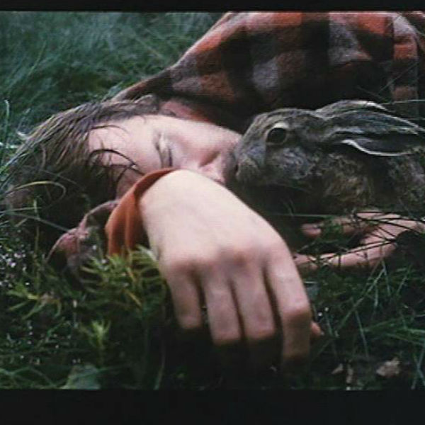 Film: Harens år - etter Arto Paasilinnas bok, 1977