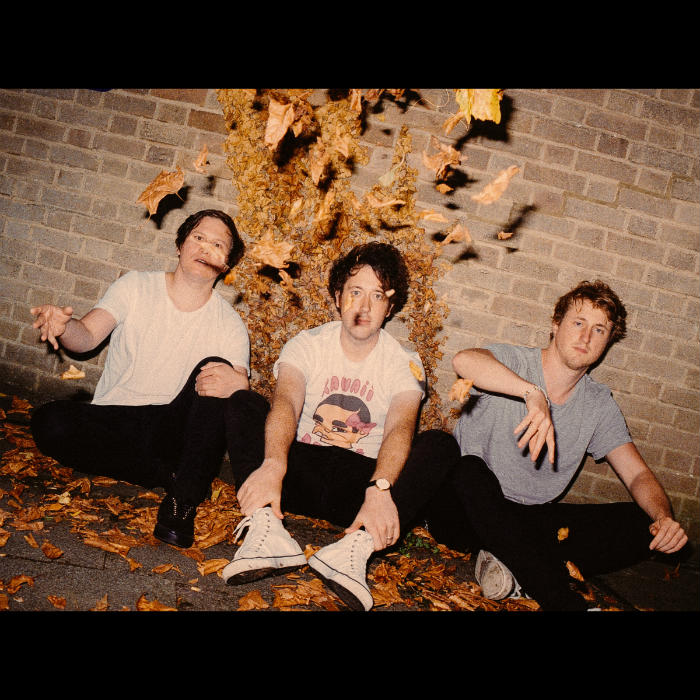 The Wombats