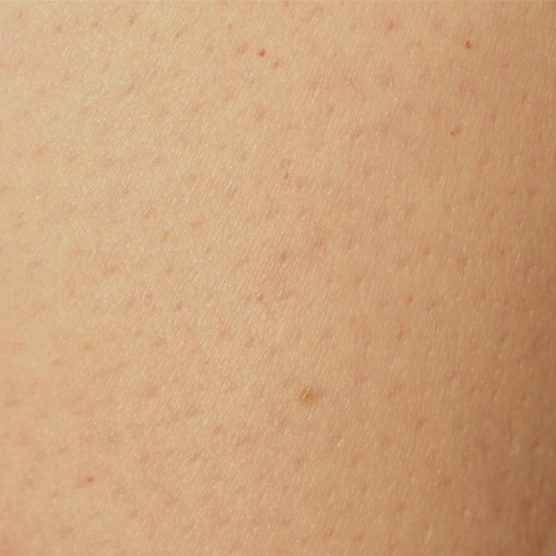 Utstilling: Maria Øy Lojo - Stilleben no. 2