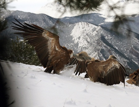 UTSTILLINGSÅPNING: NEW PLEASURE - CONTEMPORARY ART FROM NORWAY AND FINLAND